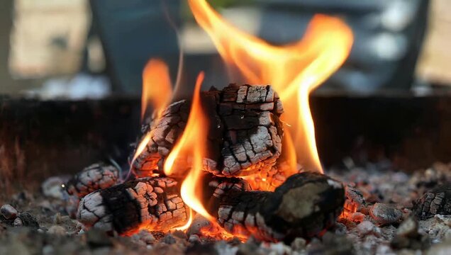 Close-up of Burning Firewood with Flames and Glowing Embers.