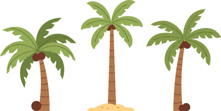 Tropical palm trees collection with coconuts and sandy island base, summer beach nature plants cartoon style vector illustration set
