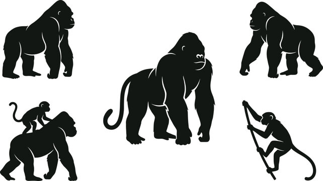 Gorilla and monkey silhouette icon set showing primates in different poses isolated on light background wildlife animal vector illustration collection