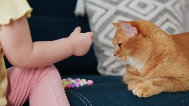 Young child offers a treat to a calm orange tabby cat resting on a dark blue couch. The cat watches the child with curiosity, then gently takes the snack. The child, wearing pink pants