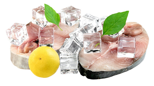 Raw fresh kingfish steaks with ice cubes, green leaves, and a whole lemon isolated. Professional seafood photography for food marketing and menu design. High-quality fish.