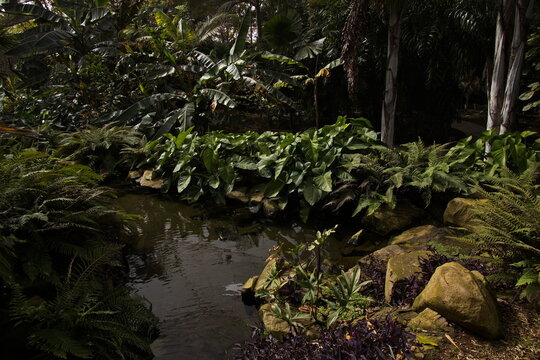 Cetral part "Octogono" in botanical garden Palmetum in Santa Cruz de Tenerife, Canary, Canary Islands, Spain, Europe

