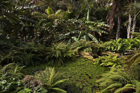 Cetral part "Octogono" in botanical garden Palmetum in Santa Cruz de Tenerife, Canary, Canary Islands, Spain, Europe
