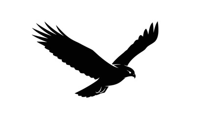 Obraz premium Hawk Flying Silhouette