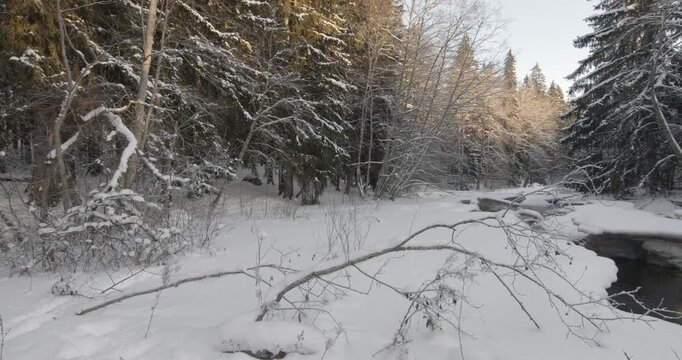 Tranquil, partially frozen river flowing through a snow-covered forest during winter, Matarinkoski, Vantaa, Finland, Europe.