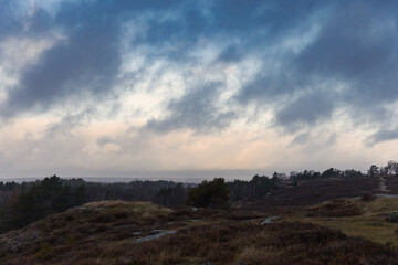 Naklejka premium Dramatic moody landscape of rolling hills and wild heathland under a heavy stormy sky at twilight. Atmospheric nordic nature with dark clouds, autumn colors, and a vast horizon in gloomy weather.