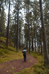 Obraz premium A lone hiker with a green backpack and sleeping mat walks along a winding dirt path through a dense, mystical coniferous forest with tall pine trees and vibrant green moss on a cloudy autumn day.