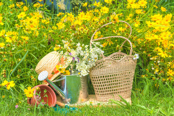 Summer leisure activities concept; Bouquet of wild flowers in a wicker bag and open book on a green lawn near blooming yellow flowers