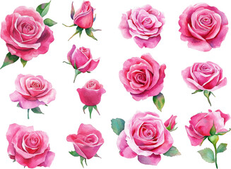 seamless pattern with pink roses