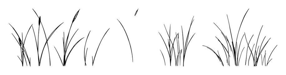 Grasses set with realistic natural elements featuring plants, foliage, herbs with flora and greenery © MSTDIPTI