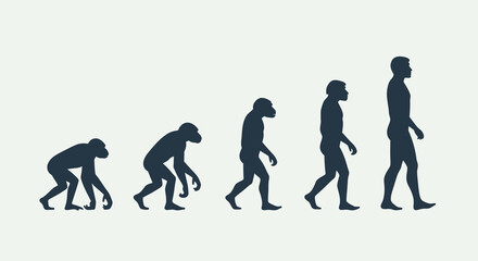 Obraz premium Evolutionary journey from a primate ancestor to modern humans, illustrating the gradual process of hominid development and upright posture