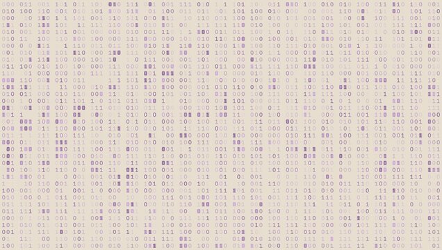 Systemic Bitstream Array - Precise Binary Triplets and Network Data Architecture