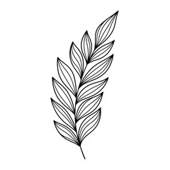 Obraz premium Elegant Line Art Branch with Delicate Leaves.