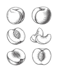 Six black and white of whole and sliced peaches fruit food