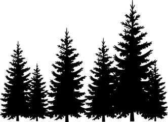 Fototapeta premium Silhouette of a dense forest of pine trees a white background nature