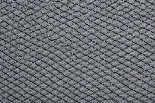 Shark Skin Texture Seamless Pattern. Close-up shark dermal denticles detail. Marine predator skin surface design. Realistic shark skin texture background. Detailed ocean wildlife macro close-up.