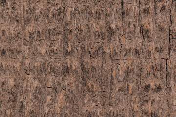 Fototapeta premium Natural texture of palm tree bark close-up. Rough wooden fiber pattern in brown and beige tones.