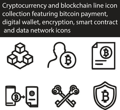 A professional business vector set featuring black internet security icons and symbols for web design management and finance illustration