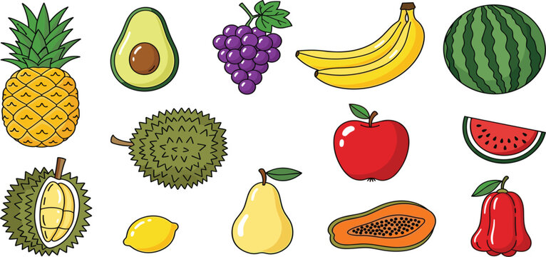 Tropical and Fresh Fruit Collection Vector Illustration Featuring Pineapple, Avocado, Grapes, Banana, Watermelon, Apple, Durian, Lemon, Pear, Papaya, and Rose Apple
