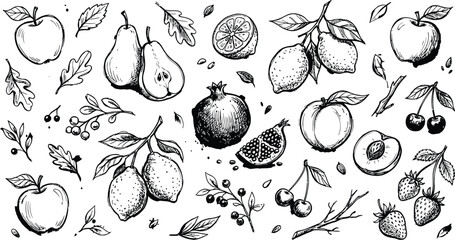 Hand drawn fruits collection with apples pears lemons and berries for natural products © Hasanul