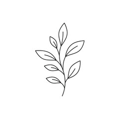 Obraz premium Minimalist line art of a delicate plant stem with leaves.