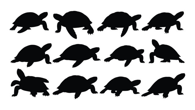 Sequence of turtles in various positions and angles in black silhouettes on white background for educational or illustrative purposes