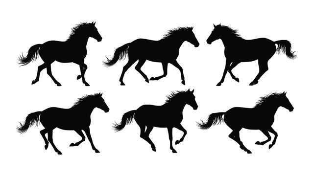 Sequence of six black horse silhouettes in motion, galloping and running in unison