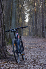 Fototapeta premium A bicycle leaning against a tree on a forest road, recreation and outdoor exercise.