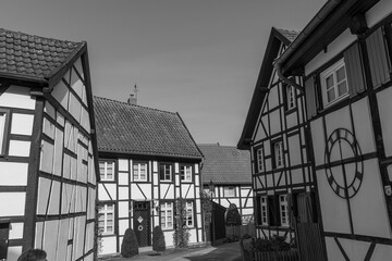 Frühling in Westerholt © Stephan Sühling