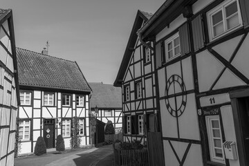 Frühling in Westerholt © Stephan Sühling