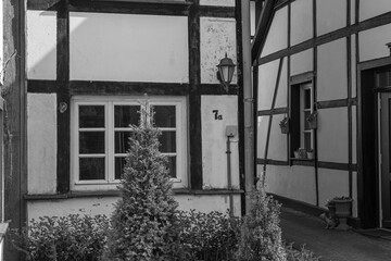 Frühling in Westerholt © Stephan Sühling