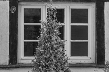 Frühling in Westerholt © Stephan Sühling