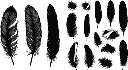 Black feather silhouettes, detailed feather illustration, bird plumage, natural design, flying feather art, decorative element, boho style, tattoo inspiration, vector set, isolated background © Creative Rejia