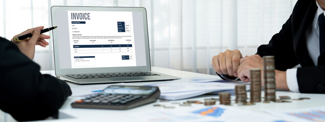 Invoice on computer screen from accounting application. Computer program for financial and budget...