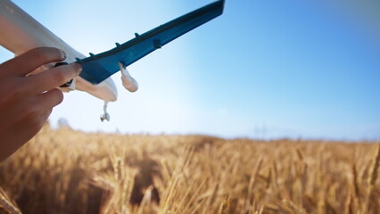 funny boy playing with airplane in golden wheat field, background of the blue sky, have fun and enjoy © vla
