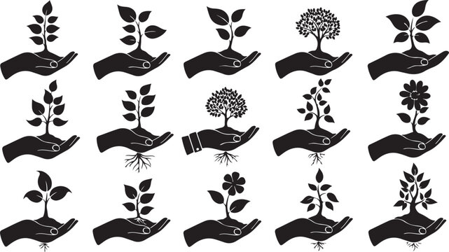 Black and white hands holding growing plants and flowers