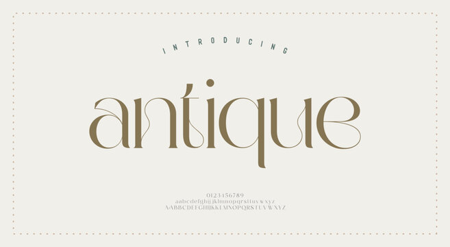 Antique luxury alphabet letters font. Typography elegant classic lettering serif decorative vintage retro concept fonts and number. vector illustration