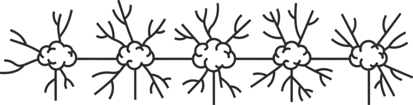 A schematic representation of five interconnected neural cell bodies with branching dendrite paths