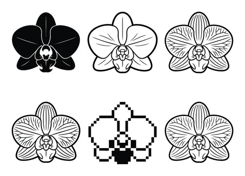 Orchid Flower Vector Illustrations in Various Styles