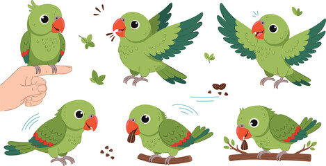Fototapeta premium Cute cartoon parrot vector set green tropical birds eating seeds flying sitting on branch friendly pet bird illustration collection isolated background