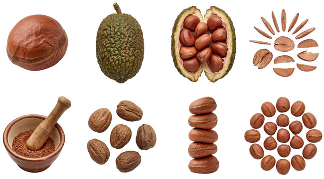 set of kola nuts (cola acuminata) fresh in pod dried and powdered isolated on black background