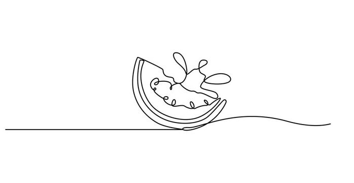 Watermelon. Sweet, ripe, juicy, red, summer, harvest, slice, food, proper nutrition, healthy. Eating concept. One line drawing animation. Motion design. Animated technology logo. Video 4K