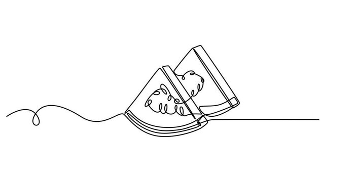 Watermelon. Sweet, ripe, juicy, red, summer, harvest, slice, food, proper nutrition, healthy. Eating concept. One line drawing animation. Motion design. Animated technology logo. Video 4K