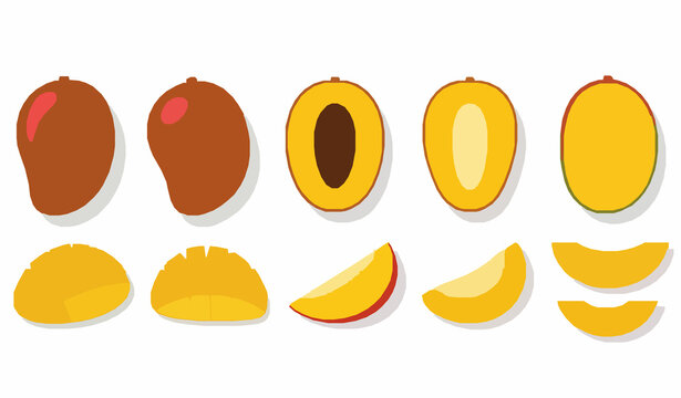 Tropical mango vector set with whole half and slice fruits isolated on white background