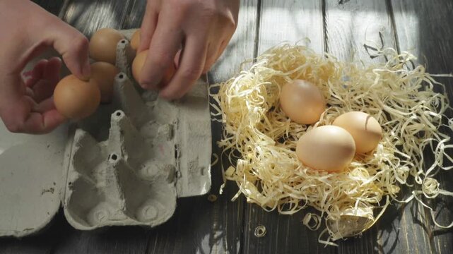 Hands are seen transferring eggs from a nest to a box on a wooden surface, highlighting the careful handling of eggs in a well-lit, comfortable environment