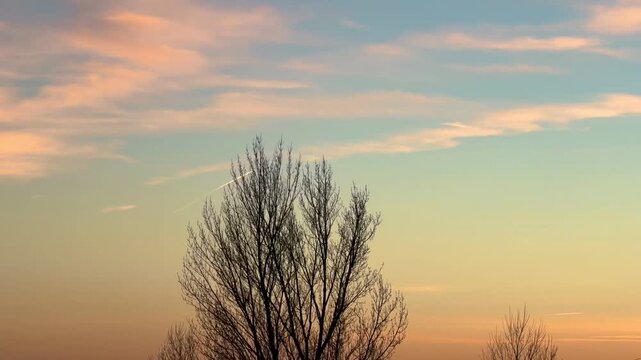 Serene sunset sky with clouds and silhouetted trees