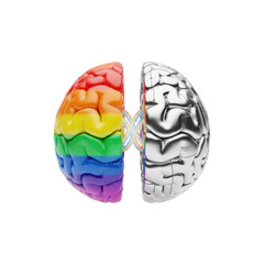 Obraz premium Rainbow and Silver Brain Hemisphere Connection