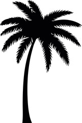 Obraz premium Palm tree skyline for coast view