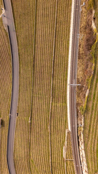 Aerial view of Lavaux vineyards and railway in Switzerland