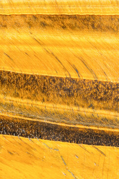 Tiger eye mineral pattern, macro
